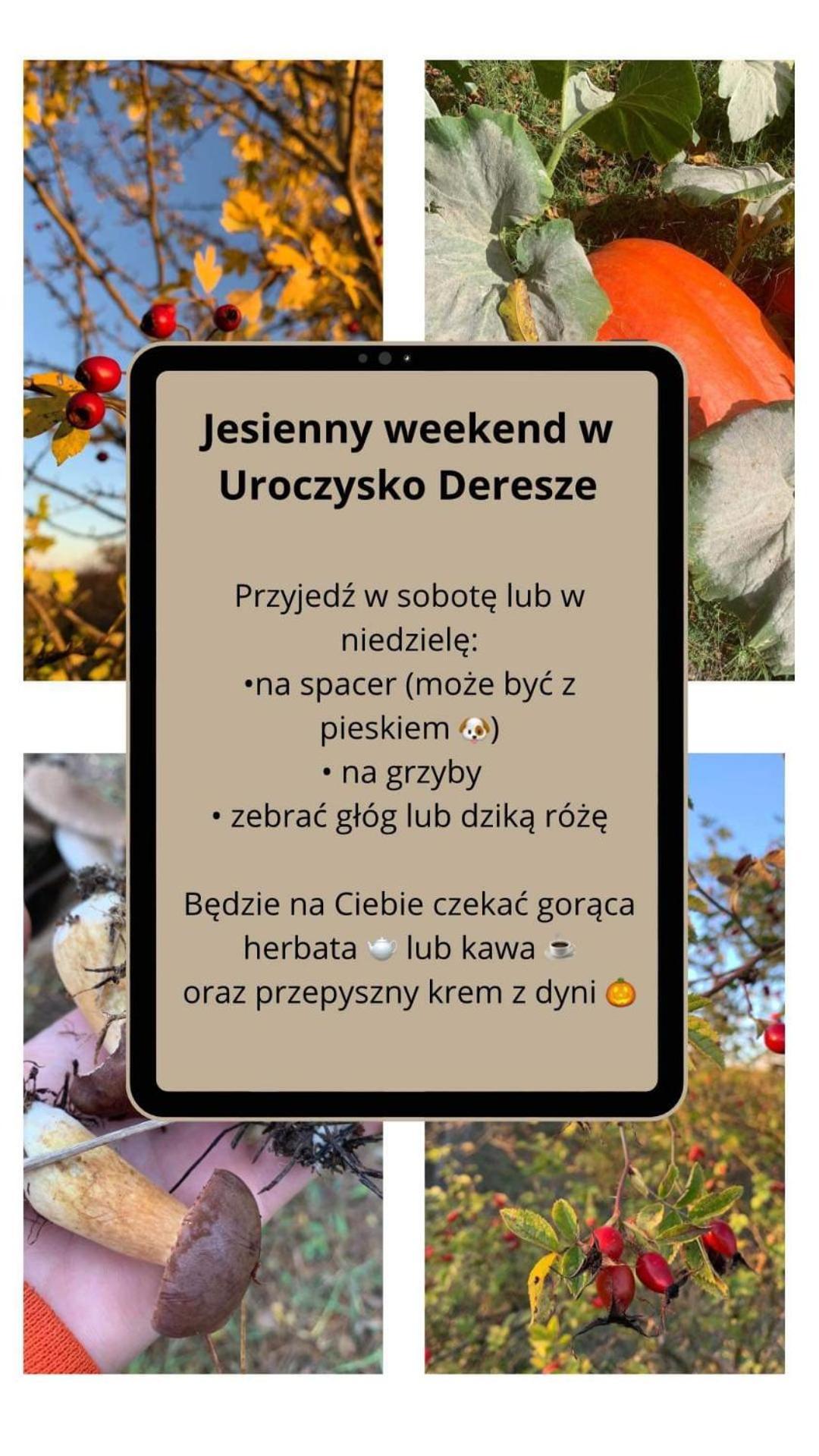 Gilawy Uroczysko Deresze 빌라 외부 사진